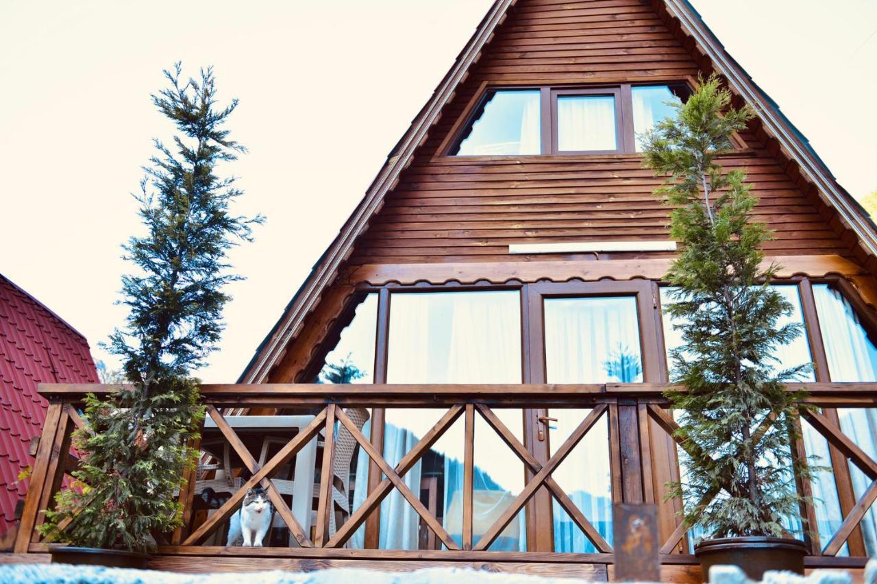 The Wooden House Uzungoel Uzungöl Eksteriør bilde